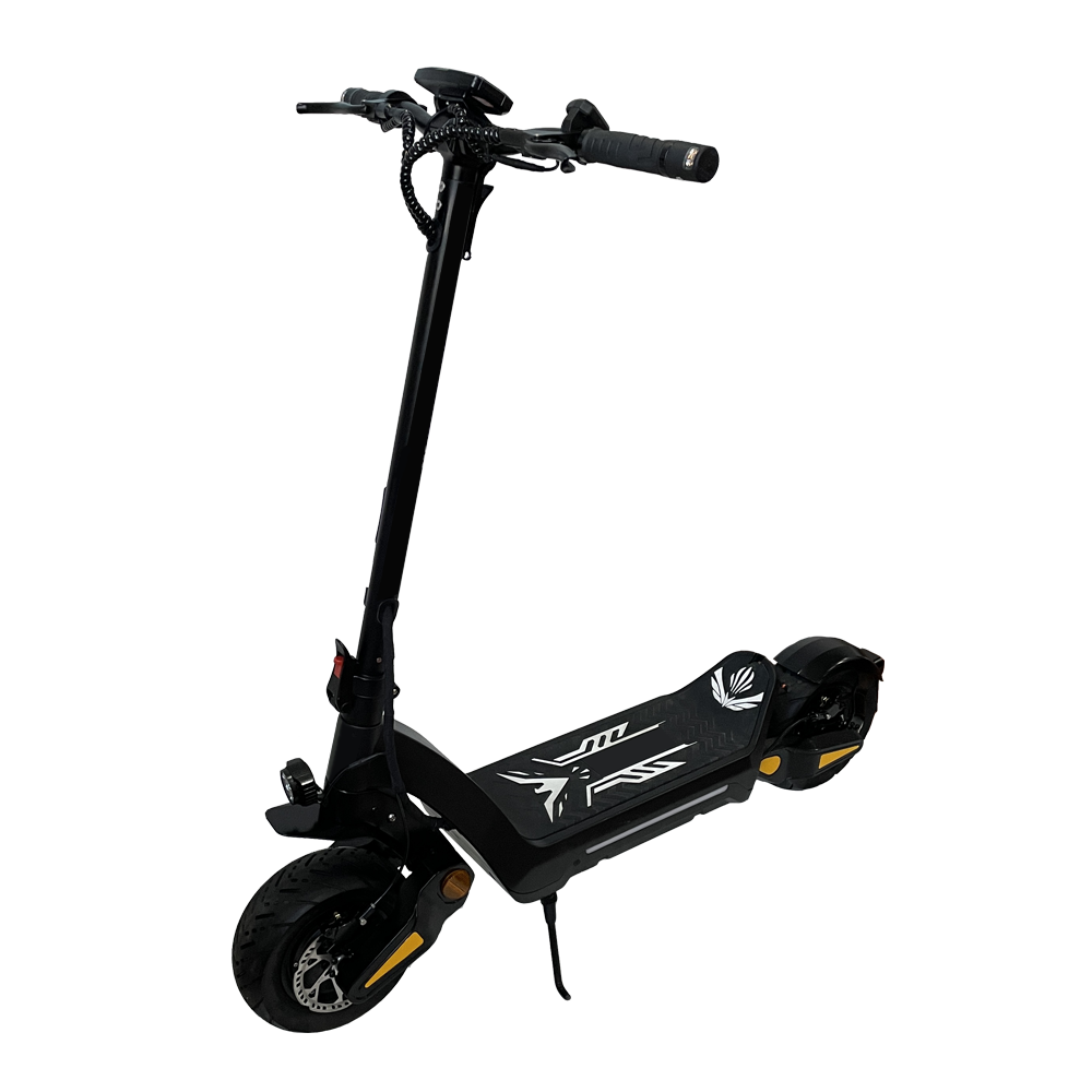 E-Scooter Pro DT06